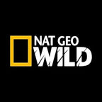 NAT Geo Wild Sticker for Car